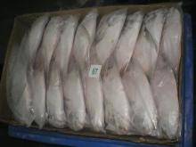 Quality Frozen Silver Pomfret