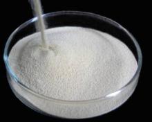 phytase co