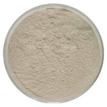 Neutral Protease PRN100