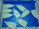 Frozen Squid Tube IQF cleaned (Latin name:Todaordes pacificus) tubes