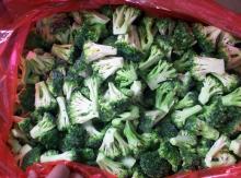 Frozen green broccoli