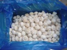 Frozen Champignon
