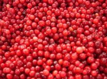 Frozen Lingonberry