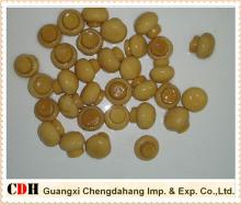Canned food canned mushroom champignon whole