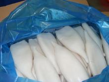 squid tubeU7