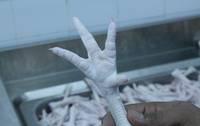 GRADE A CHICKEN FEET