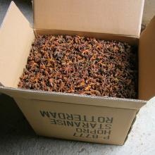 supply all kinds of star anise stemless