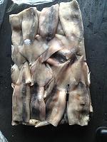  Frozen  New Zealand  Arrow   Squid   Tube s skin-on (Latin name:Nototodarus Sloannii)