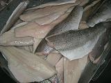 Frozen Sea bass fillet skin-on (Latin name:Lateolabrax japonicus)