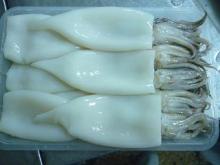 Frozen  Squid   Tube  and  Tentacle  / T&T(Latin name:Todaordes pacificus)