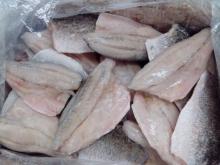 Frozen Barramundi fillet IQF (Latin name:Lates Calcarifer)