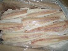 Alaska pollock fillet IQF skinnless PBO (Latin name:Theragra chalcogramma)