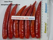 Fresh Red Chilli