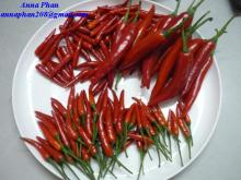 Fresh Big/ Small Chilli