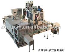 Automatic Carton Case feeding packing  machine 