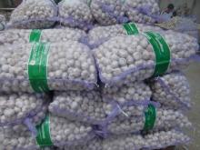  pure   white   garlic ---- mesh   bag  packing