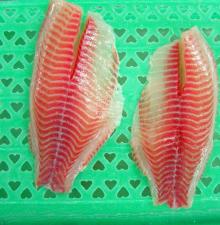 Frozen well trimmed Tilapia fillet CO treated