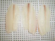  Deep  Skin  tilapia  fillet