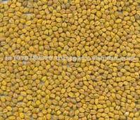 Dry Kabuli Chick Pea