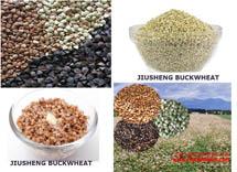 Roasted Buckwheat Kernels (Kasha)- Free of Gluten, Sugar
