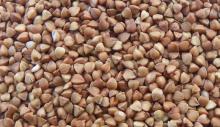 Raw Buckwheat Whole Groat, Organic & Gluten-free, Sugar-Free.