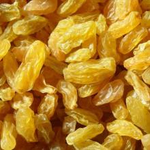 seedless  golden   jumbo   raisin 