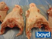  frozen   chicken   backs 