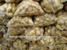 Fresh african Potato