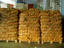 good quality holland potato