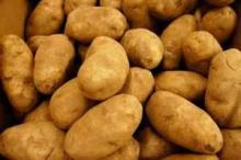 fresh potato