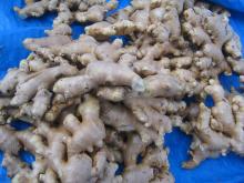 Fresh  Air   Dry  Ginger