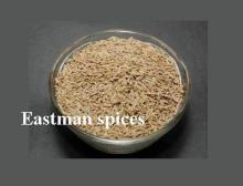 Indian Cumin 97% Machine Cleaned