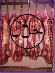 Halal  Beef   Quarter s