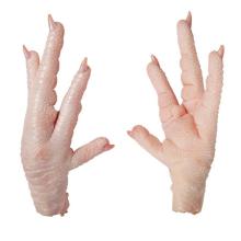 Chicken Paw Feet
