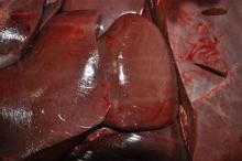  Beef   liver 