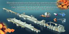 fully-automatic biscuit producion plant