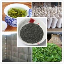 New  Spring  Chunmee green tea 41022