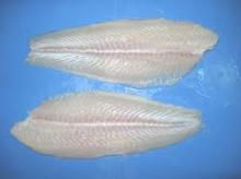 WELL TRIMMED PANGASIUS FILLET
