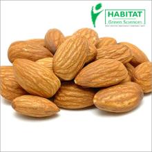 Kashmiri Almonds (100% Pure)