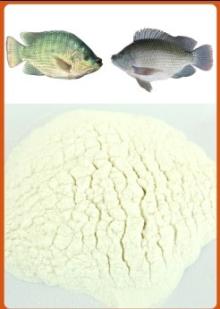 Hydrolysed Fish Collagen
