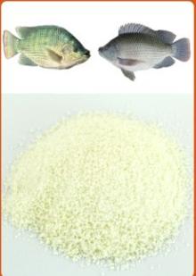 Prilling Fish Collagen Type I
