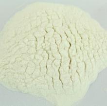 fish collagen powder
