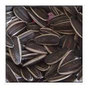 wholesales sunflower seeds in shelled