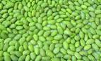 FRESH SOYBEAN