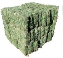 Alfalfa hay for animal feed