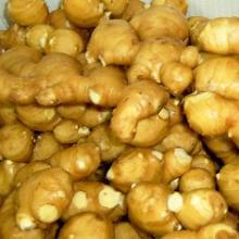 Fresh Dry Ginger