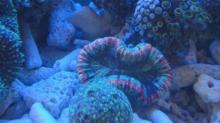  aquarium 