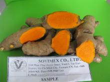  Fresh   Turmeric 