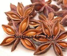 Star Aniseed