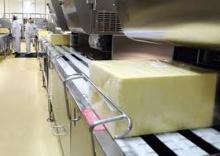 Sweet Cream  Butter  /  Lactic   Butter 